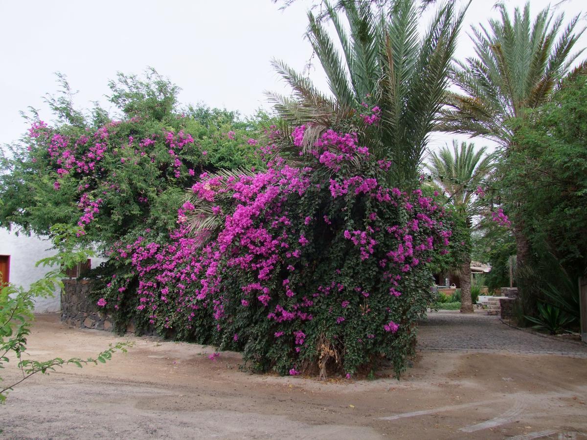 Villa Morabeza Guest House Μιντέλο Εξωτερικό φωτογραφία